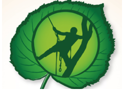Baumpflege Kruse Logo